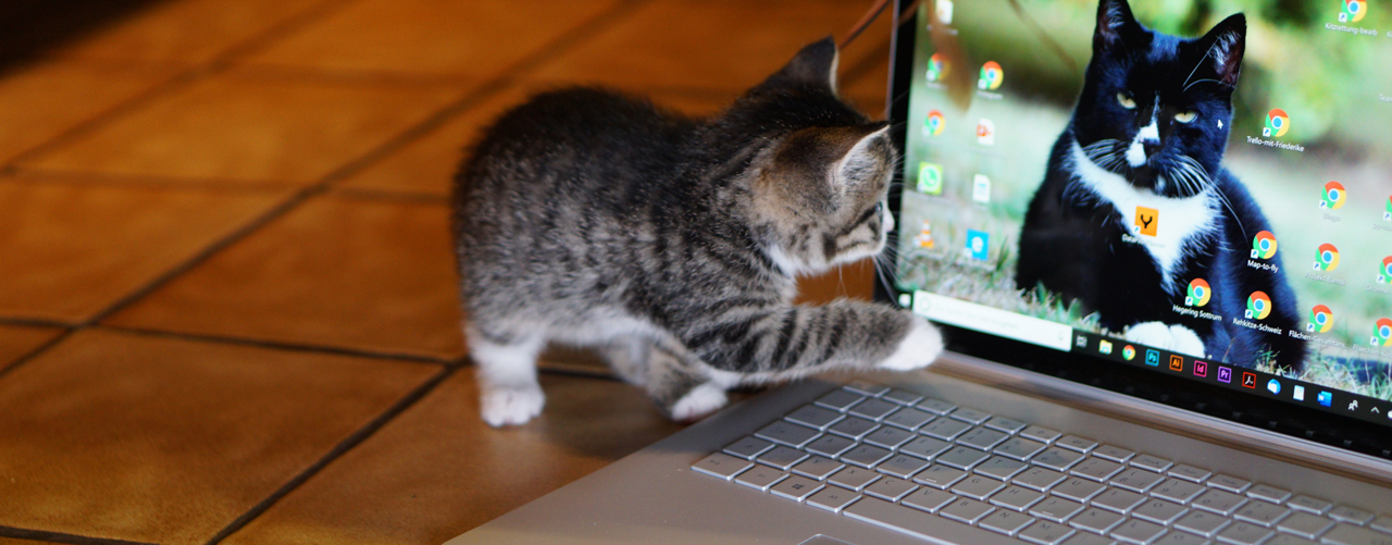 header-laptop-web